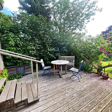 Proll * הרינגסדורף